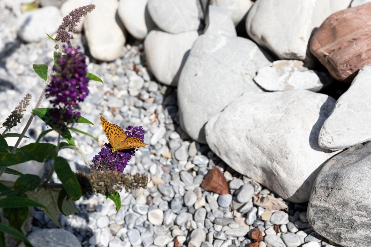 Hotel Garni Bergidyll - Adults Only Pfronten Εξωτερικό φωτογραφία