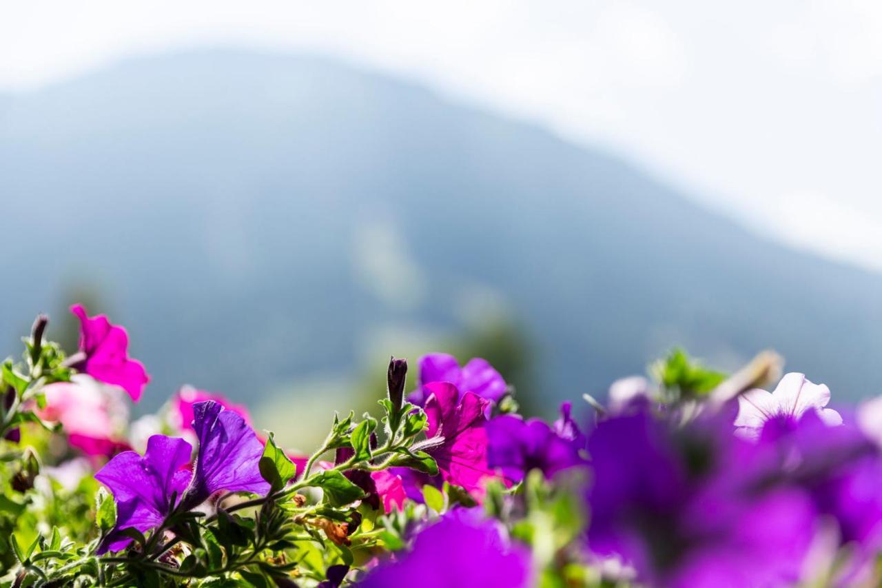 Hotel Garni Bergidyll - Adults Only Pfronten Εξωτερικό φωτογραφία
